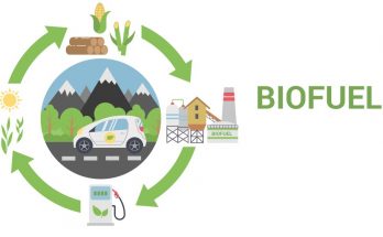 Next generation biofuels