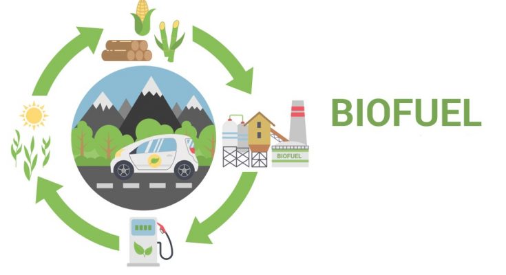 Next generation biofuels