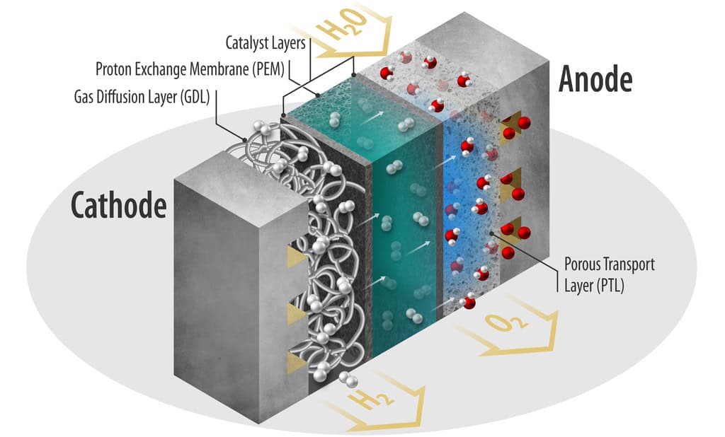 Proton Exchange Membrane Fuel Cell